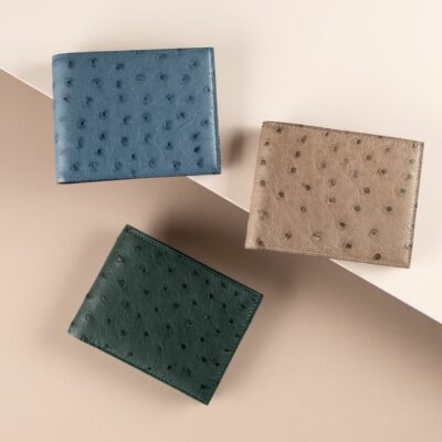 Bifold Wallet Ví Nam Da đà điểu