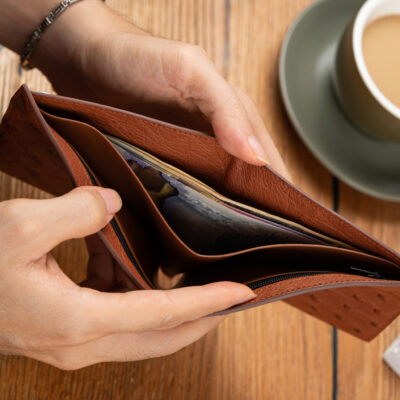 Ví Nam Da Đà Điểu Nâu Đỏ