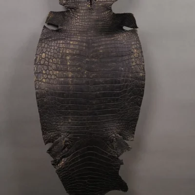 Da Cá Sấu Pháp Alligator