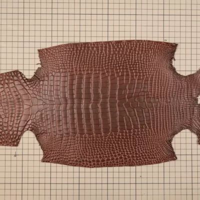 Da Cá Sấu Pháp Alligator