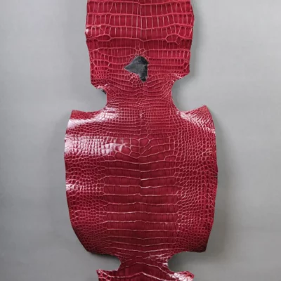 Da Cá Sấu Pháp Alligator