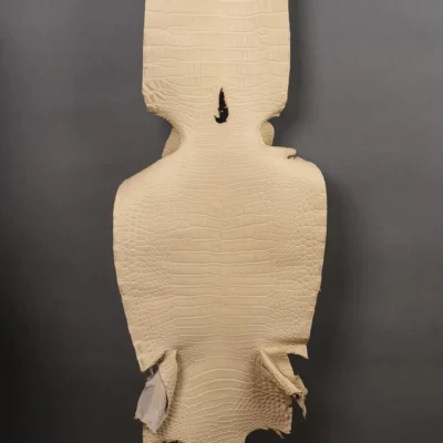 Da Cá Sấu Pháp Alligator