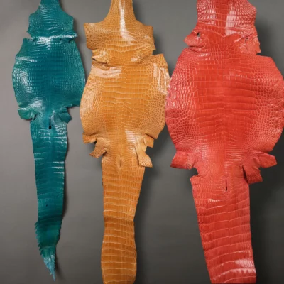 Da Cá Sấu Pháp Alligator