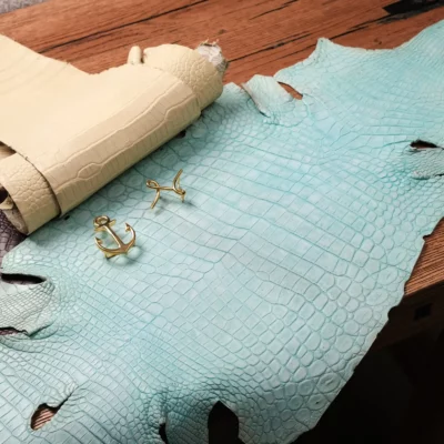 Da Cá Sấu Pháp Alligator