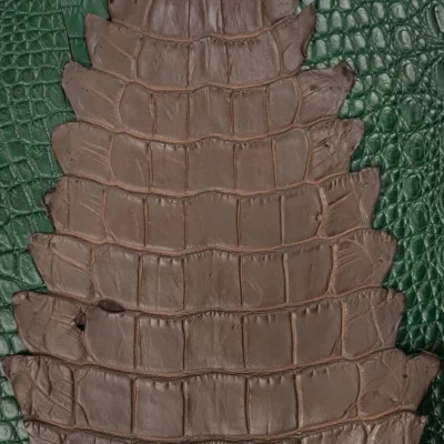 Da Cá Sấu Pháp Alligator