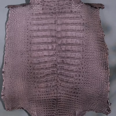 Da Cá Sấu Pháp Alligator