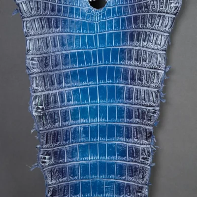 Da Cá Sấu Pháp Alligator