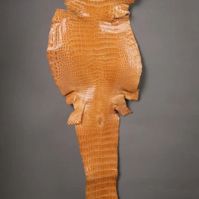 Da Cá Sấu Pháp Alligator