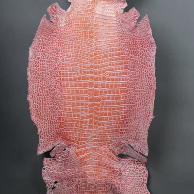 Da Cá Sấu Pháp Alligator