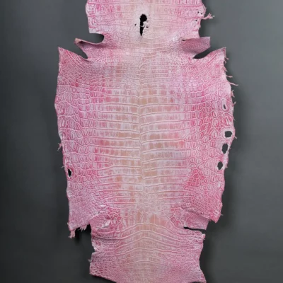 Da Cá Sấu Pháp Alligator