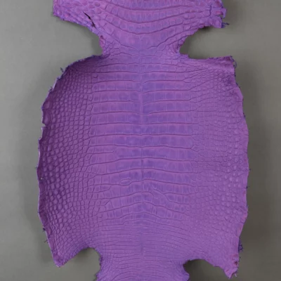 Da Cá Sấu Pháp Alligator