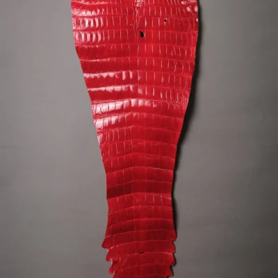 Da Cá Sấu Pháp Alligator