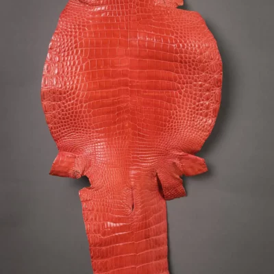 Da Cá Sấu Pháp Alligator