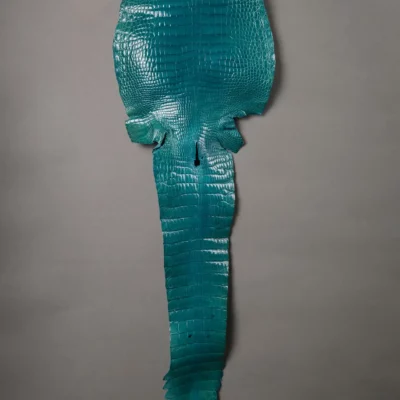 Da Cá Sấu Pháp Alligator