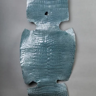 Da Cá Sấu Pháp Alligator