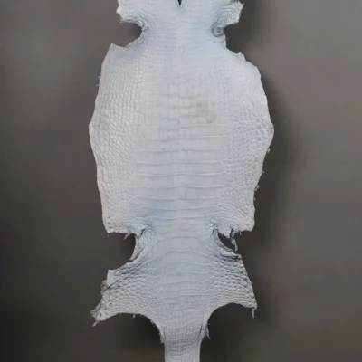 Da Cá Sấu Pháp Alligator