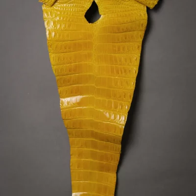 Da Cá Sấu Pháp Alligator