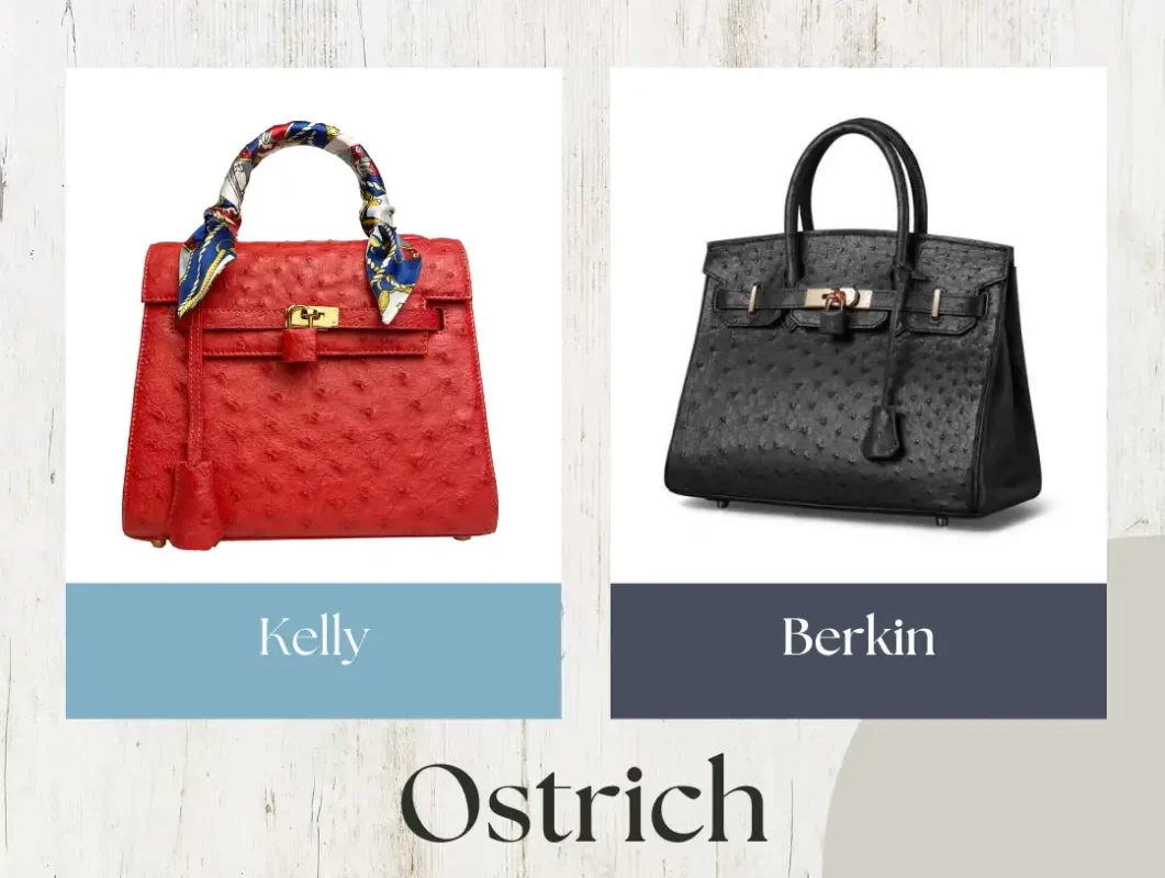 Túi Hermès Da đà điểu Có Gì đặc Biệt Mà Nhiều Người Săn Tìm?