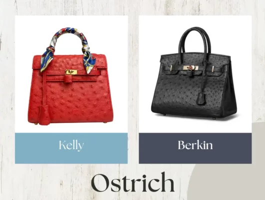 Túi Hermès Da đà điểu Có Gì đặc Biệt Mà Nhiều Người Săn Tìm?