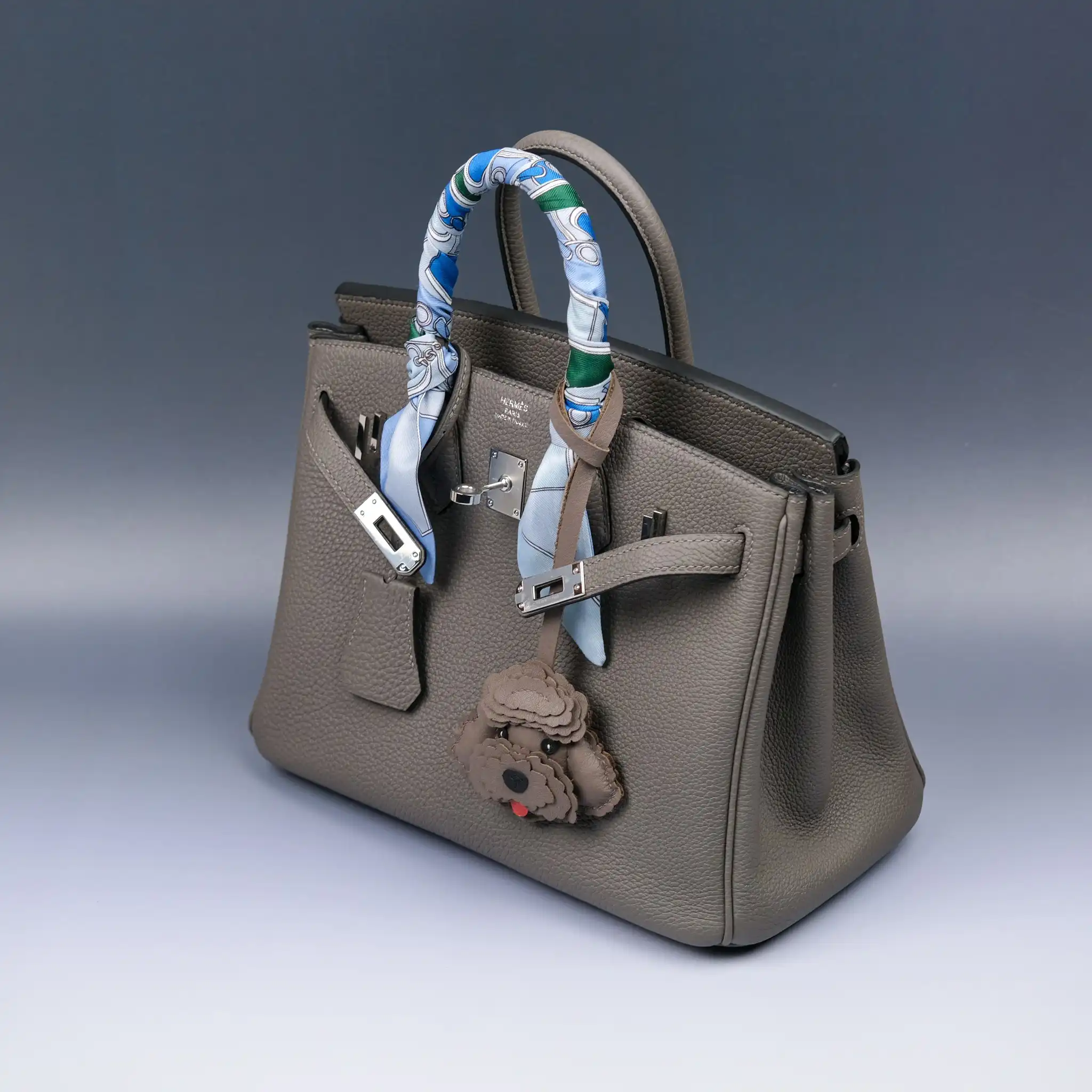 Túi Hermès Da Togo: Những điều Cần Biết Trước Khi Lựa Chọn