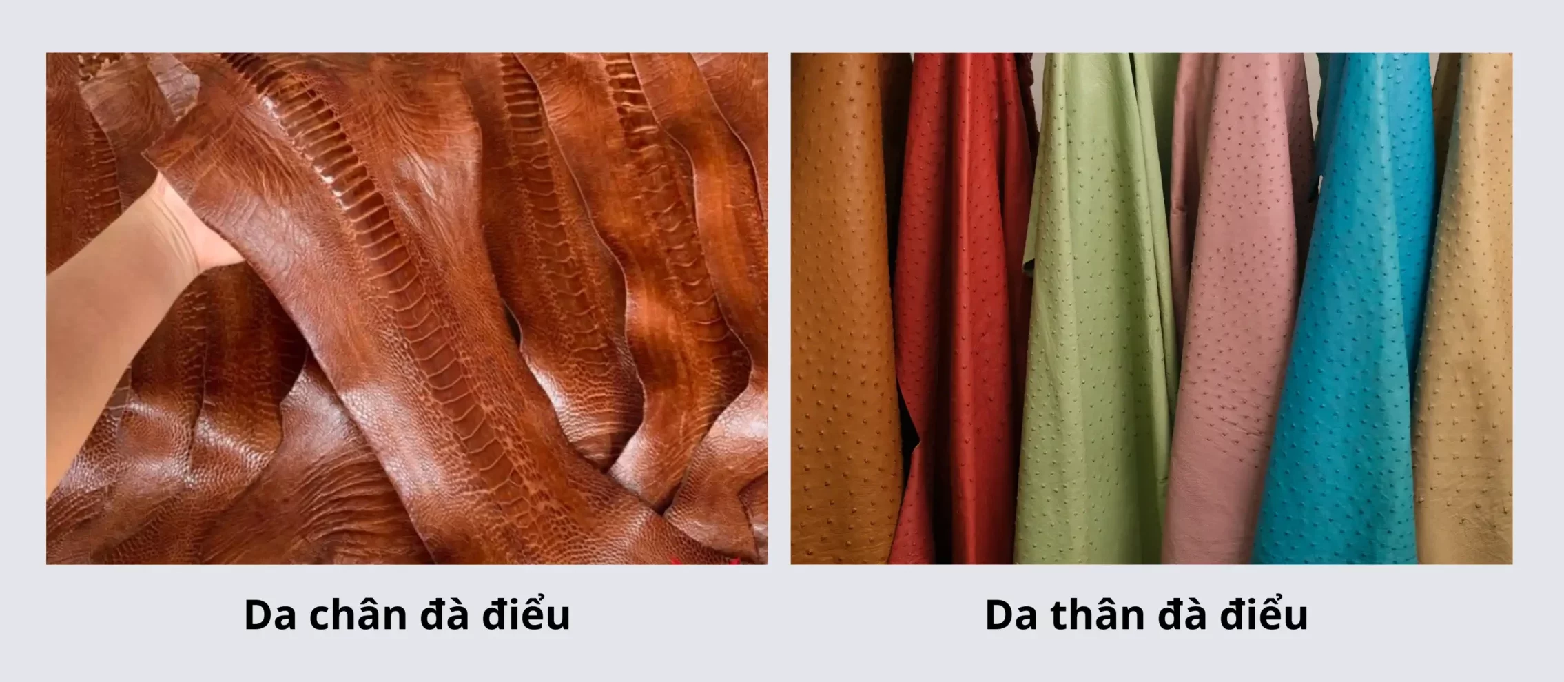 Da đà điểu – Chất Liệu Da Cao Cấp Với độ Bền Và Vẻ đẹp độc đáo