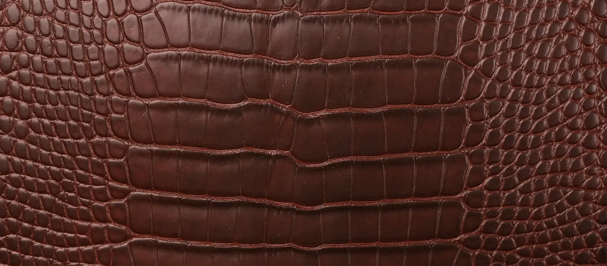 Da Cá Sấu Và Da đà điểu: So Sánh để Chọn đúng Chất Da Cao Cấp