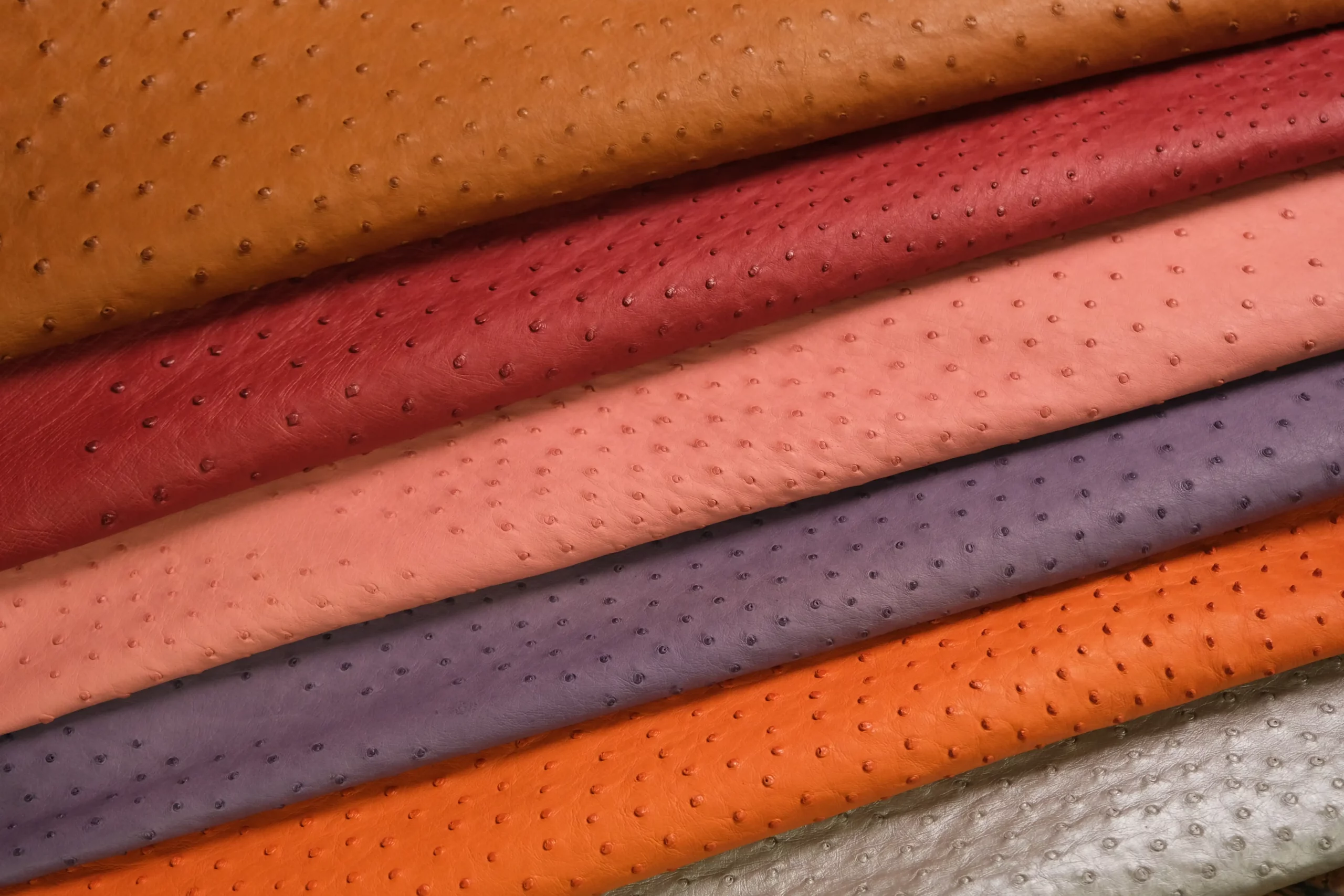 Da đà điểu – Chất Liệu Da Cao Cấp Với độ Bền Và Vẻ đẹp độc đáo