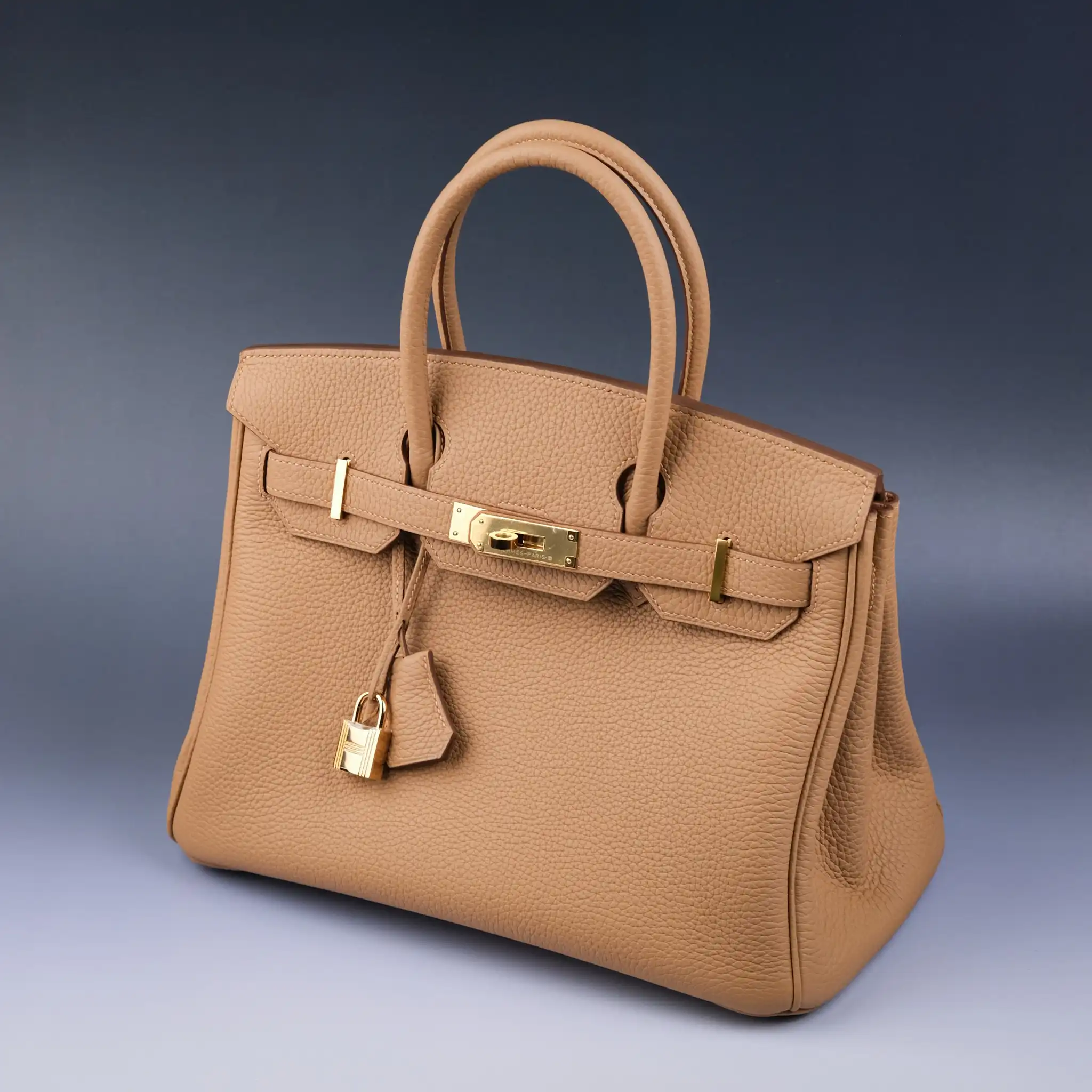 Túi Hermès Da Togo: Những điều Cần Biết Trước Khi Lựa Chọn